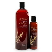 Organic Shampoo